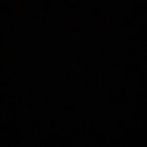 Meet your Posher, Phoebe